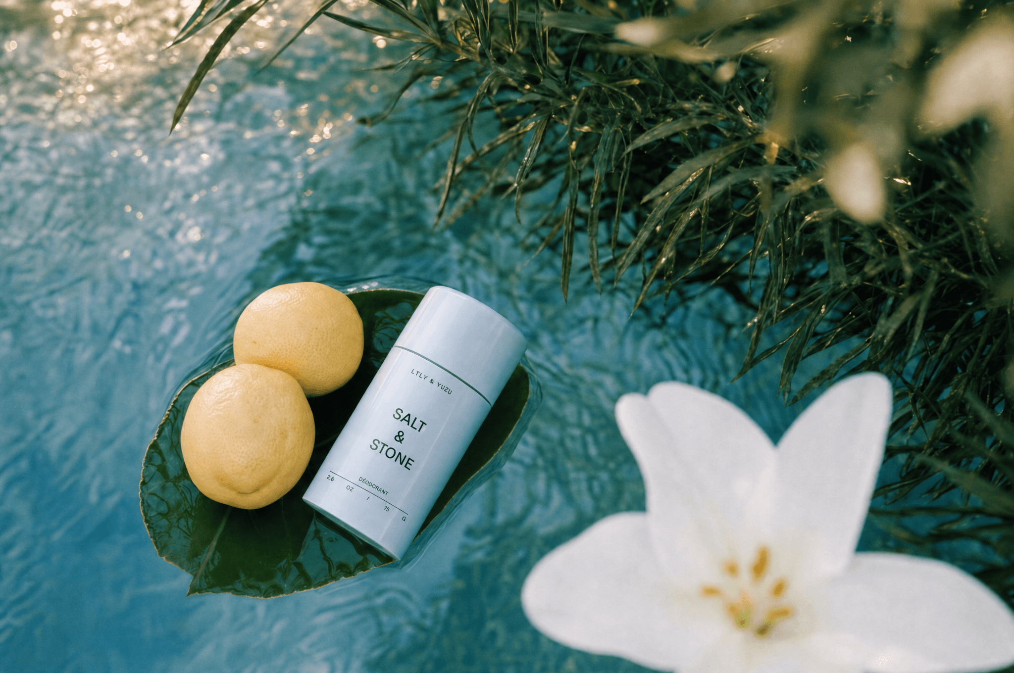 Salt & Stone deodorant floating on a leaf in an onsen pool with lily and yuzu