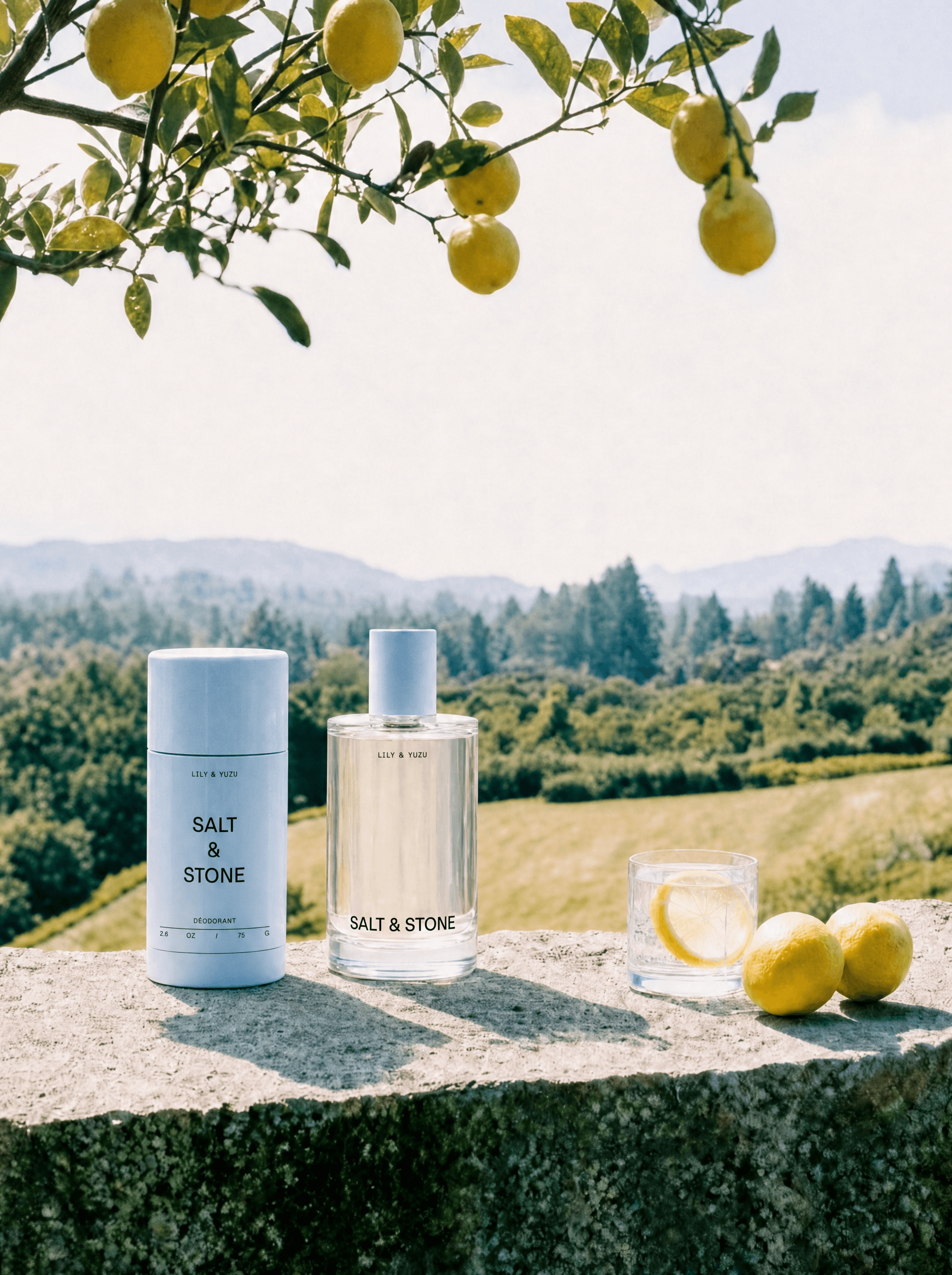 Salt & Stone Lily & Yuzu duo on a stone ledge under a yuzu tree with rolling hills behind