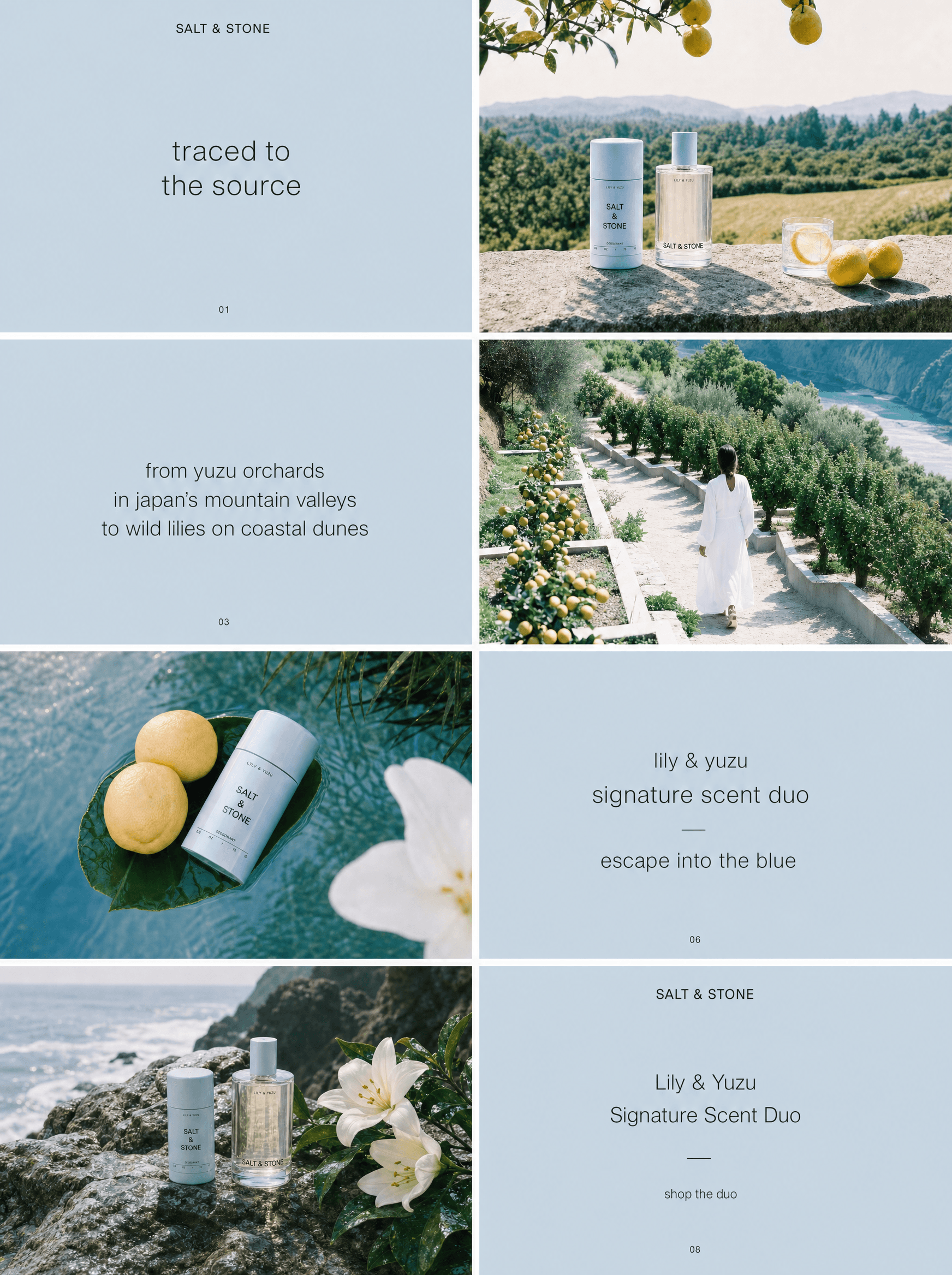 Salt & Stone Lily & Yuzu full campaign layout — 8 slides showing product imagery, editorial direction, and branded copy